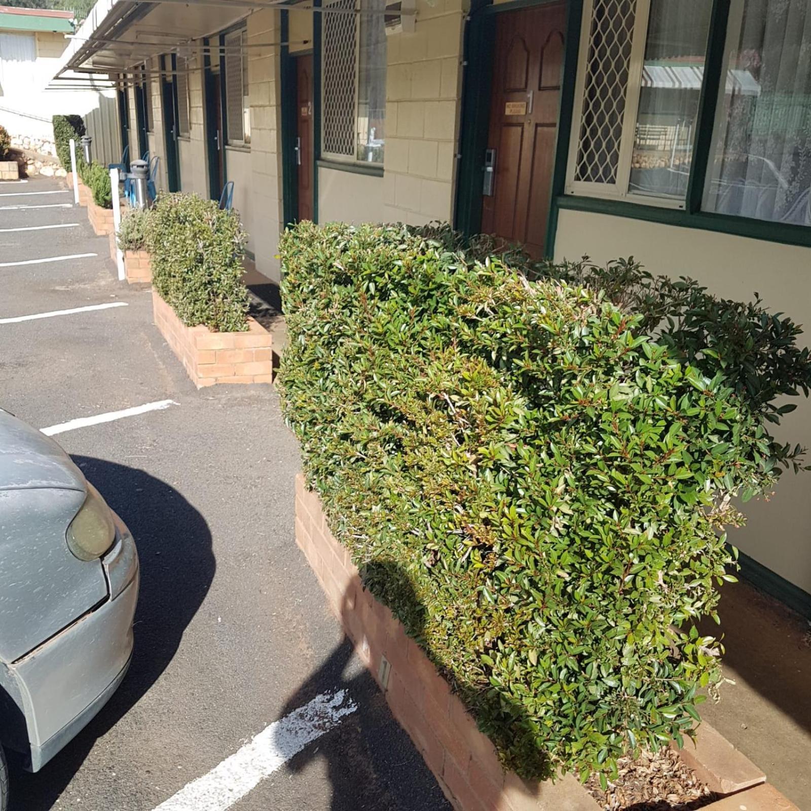 Golden Peak Motel Peakhill Peak Hill Exterior photo