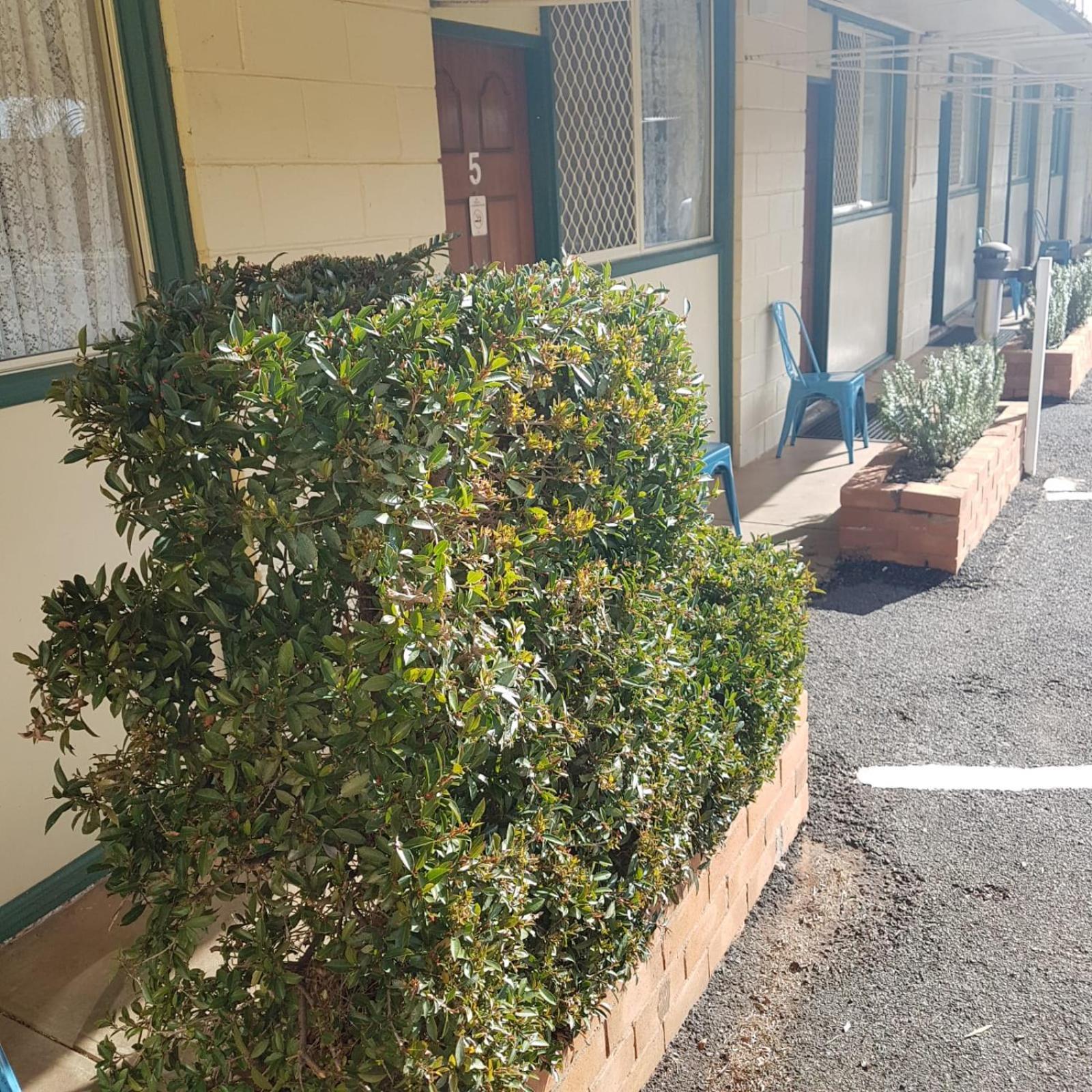 Golden Peak Motel Peakhill Peak Hill Exterior photo